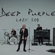 Deep Purple Lazy Sod