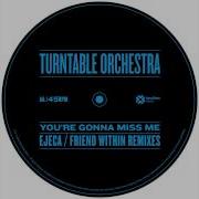 You Re Gonna Miss Me Turntable Orchestra