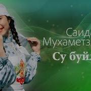 Песни Саиды Мухаметзяновой