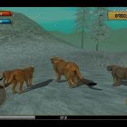 Wild Cougar Sim Ost