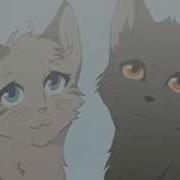 Крутобок Коты Воители