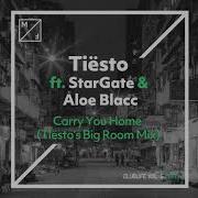 Tiesto Carry You Home Remix