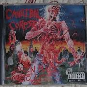 Cannibal Corpse Eaten Back To Life