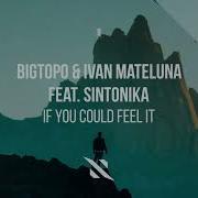 Bigtopo Ivan Mateluna Sintonika If You Could Feel It