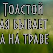 Какая Бывает Роса На Траве