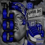 Spider Loc Ec