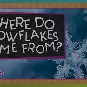 Snowflake Snow Winter
