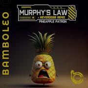 Murphy S Law Pineapple Patron