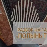 Разбор Песни На Гармони Полынь Трава Иван Разумов