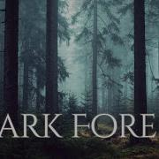 Forest Horror Music