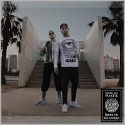 Palmen Aus Plastik 3 Raf Camora Bonez Mc