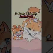 I Like Cat Anime