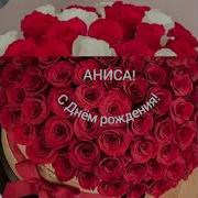 Песня С Днем Рождения Аниса