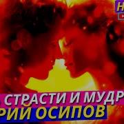 Серебристый Грибной Дождь