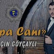 Elcin Goycayli Papa Cani 2020