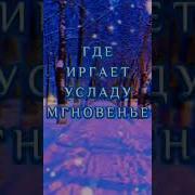 Зимни Добрый Вечер