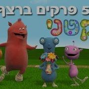 ערוץ בייבי 2016