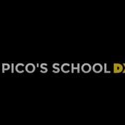 Pico S School Dx Talking Smack