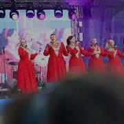 Черемуха Душистая Сорока