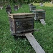 Буровский Андрей Медвежий Ключ
