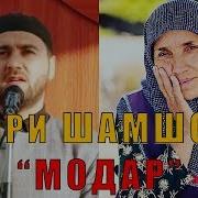 Шамшод Мухиддинов Модар