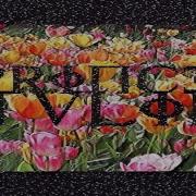 Prince Tulip Acapela