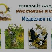 Сладков Медвежья Горка
