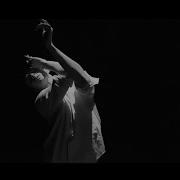Павел Воля Кошки