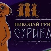 Гринько Сурикаты