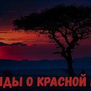 Лев Пучков Тактика Выжженной Земли