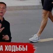 Бег По Правилу 80 20 Скачать Бесплатно