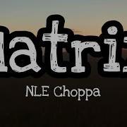 Nle Choppa Matrix