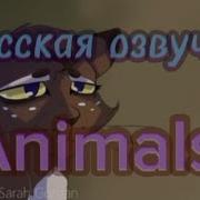 Коты Воители Animals