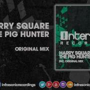 Harry Square The Pig Hunter