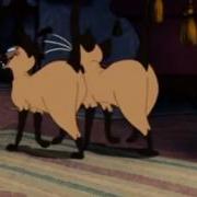 Lady And The Tramp Siamese Cat Song