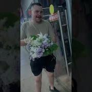 Рамонтично