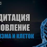 Медитация Обновления Организма Исцеляющий Водопад Космической Энергии Ливанда