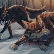 Time Коты Воители