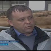 Заставка Вести Воронеж Специальный Репортаж
