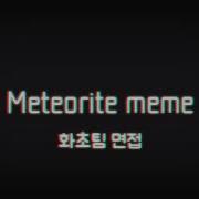 Meteorite Meme 뇌절팀 면접 합격