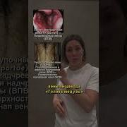 Анатомия Болезни