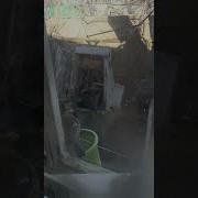 Синица Тревога
