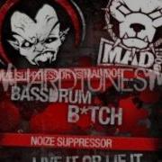 Noize Suppressor Mad Dog Bassdrum Bitch