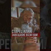 Храм Химеры Островский