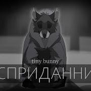 Бесприданница Tiny Bunny