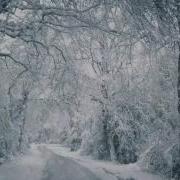 暴风雪