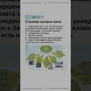 Перечисления Столпов