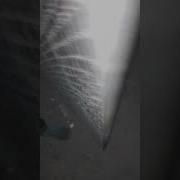 Троллдж Инцидент Заброшенная Больница