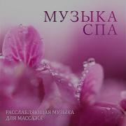 Spa Music Paradise Внутренняя Гармония