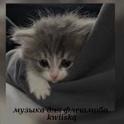 Звук Тока